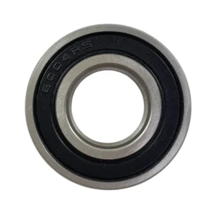 Rodamiento DGB 6004 2rs