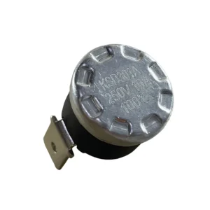 Termostato fijo de 100º