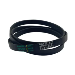 Correa Multi V 1231 H8 Longvie 6Kg Power Belt