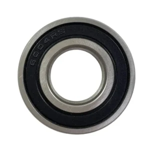 Rodamiento DGB 6004 2rs