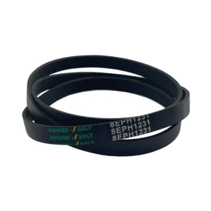 Correa Multi V 1231 H8 Longvie 6Kg Power Belt